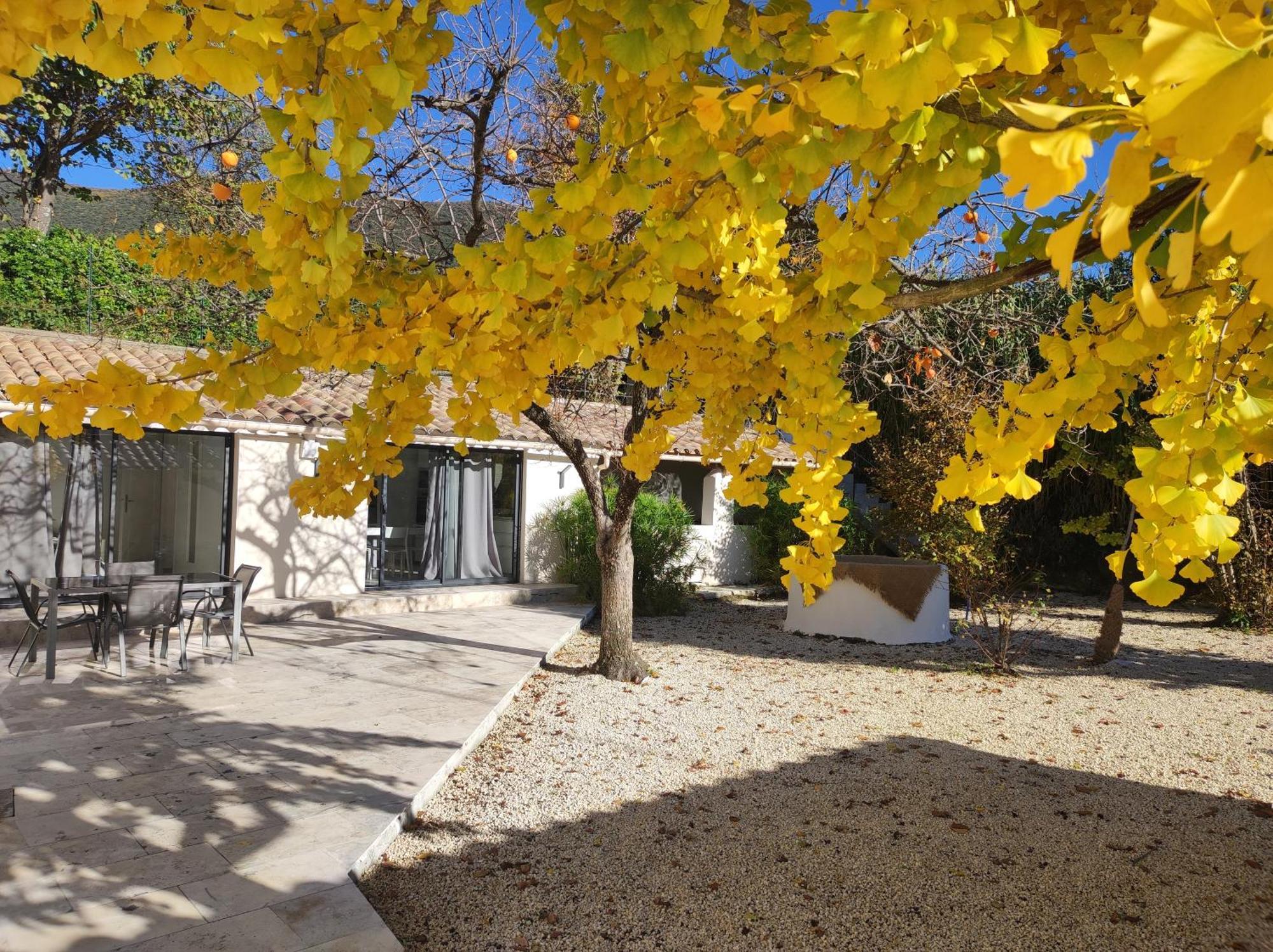 Terre De Lumiere 3 Apartment